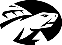Terrapins logo