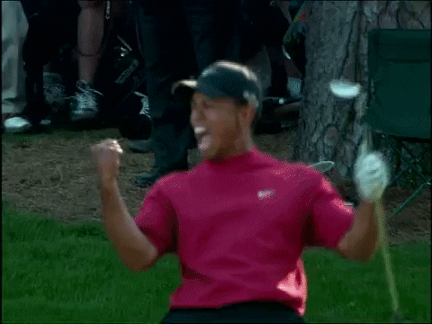 Tiger Woods + Caddy